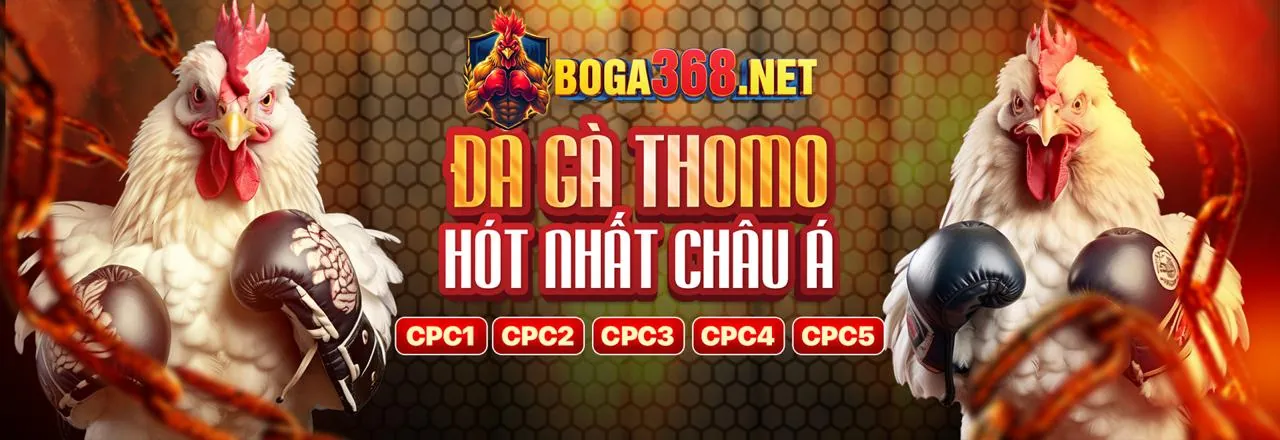 Truy cập link 365vn chính thức